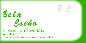 bela cseho business card