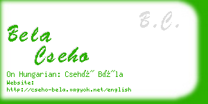 bela cseho business card